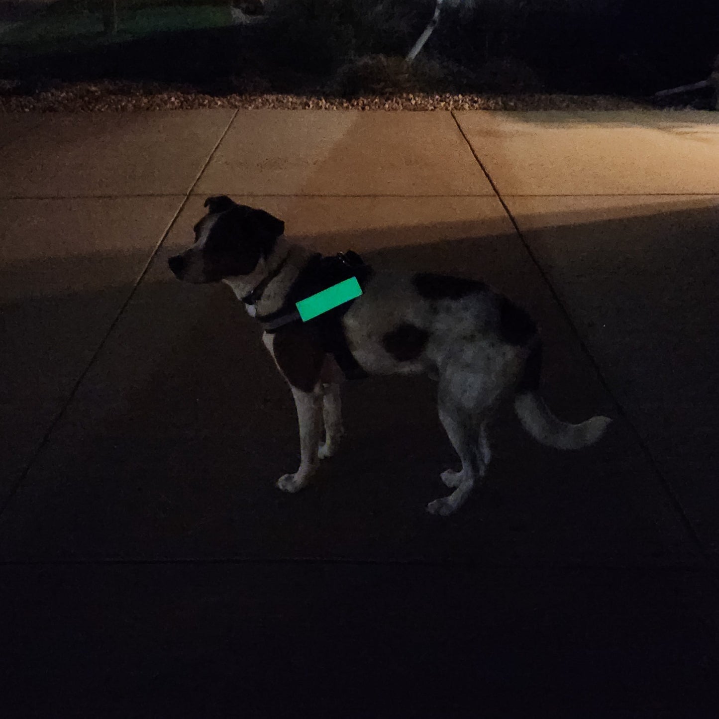 Safety Glow Strips (set of 2)