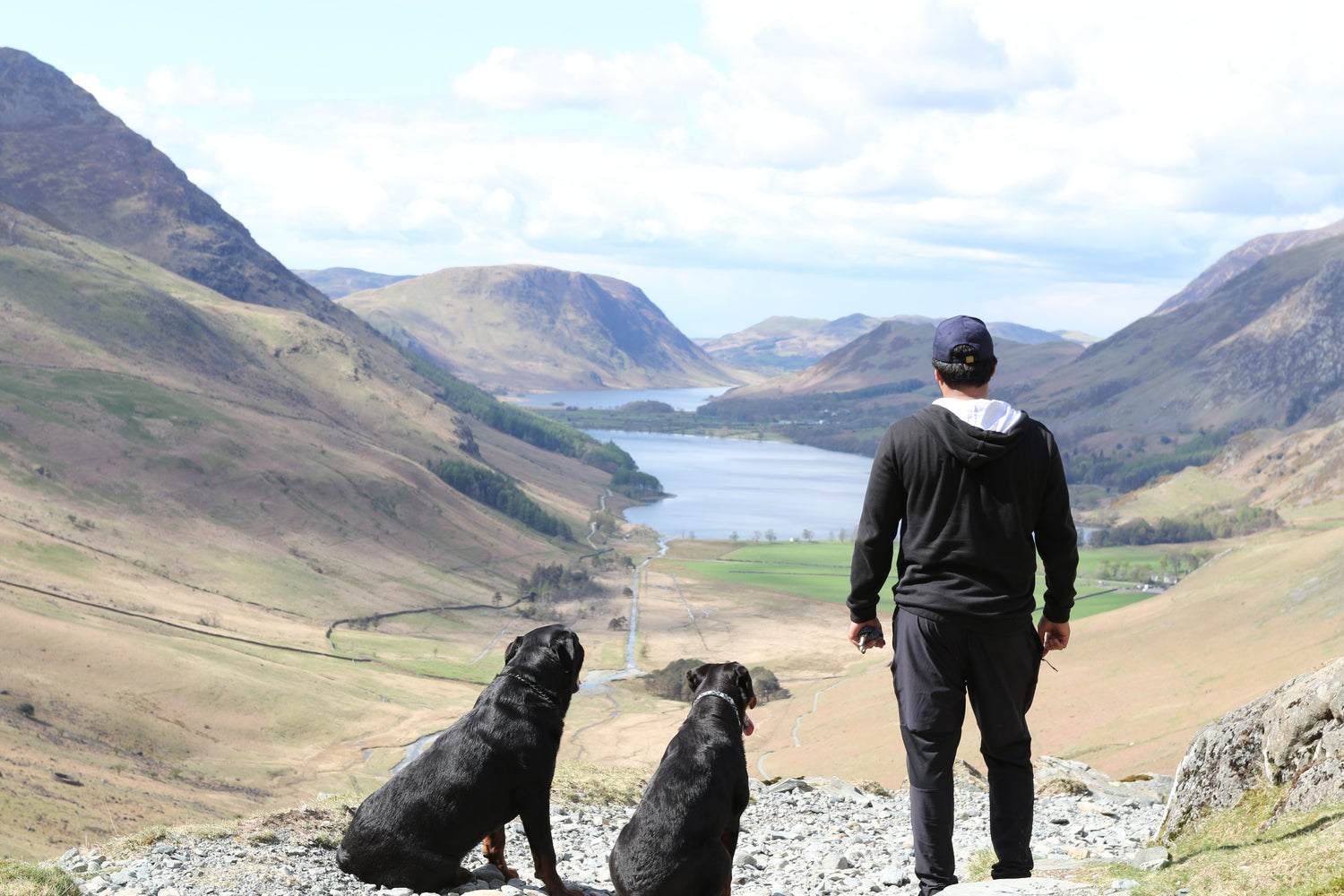 High Quality Dog Hiking Harness